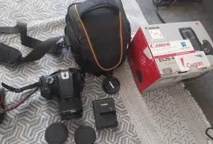 stock