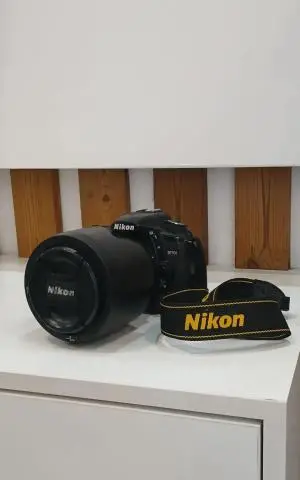 stock