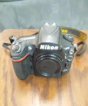 stock