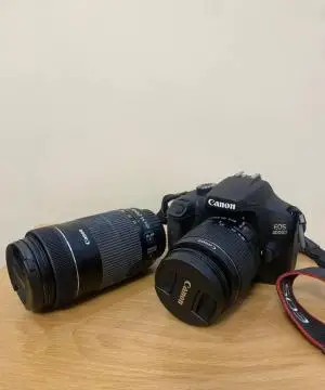stock