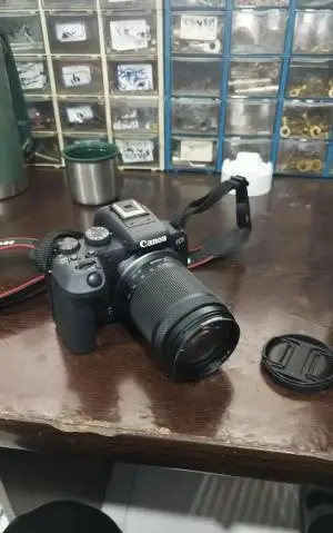 stock