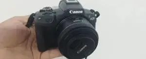 stock