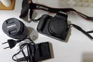stock