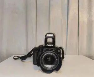 stock