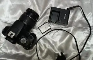 stock
