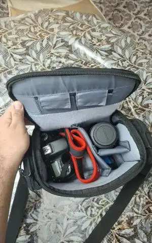 stock