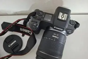 stock