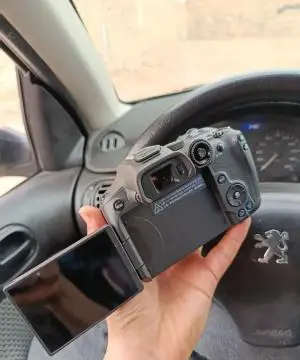 stock