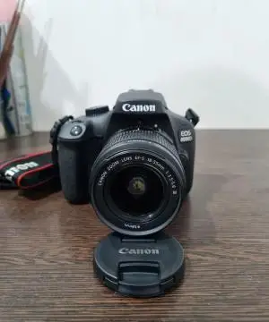 stock