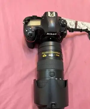 stock