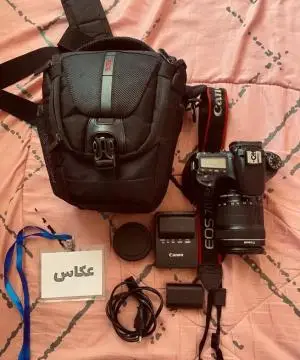 stock