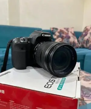 stock