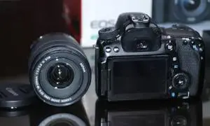 stock