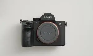 stock