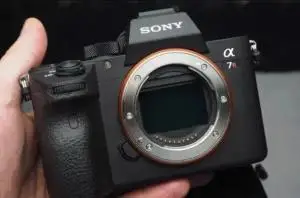 stock
