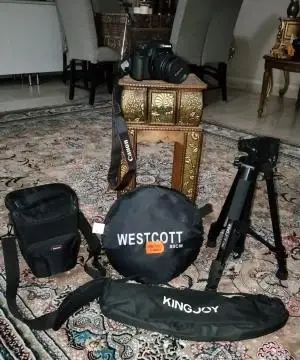 stock