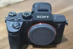 stock