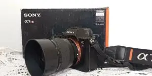 stock