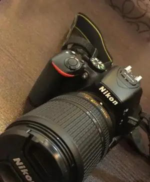 stock