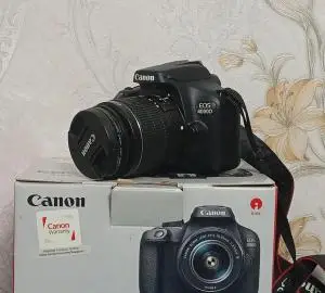 stock