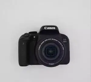 stock