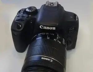 stock