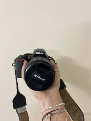 stock