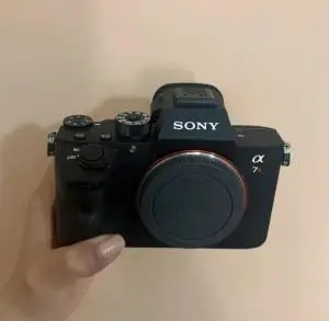 stock