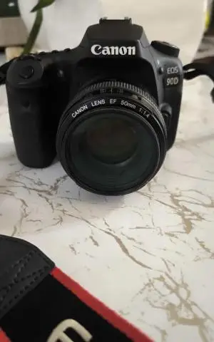 stock