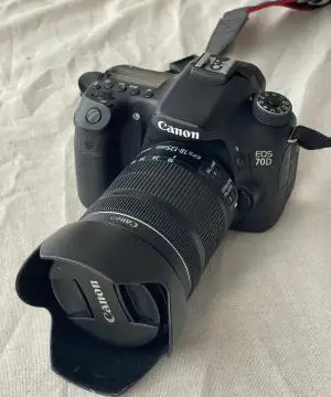 stock