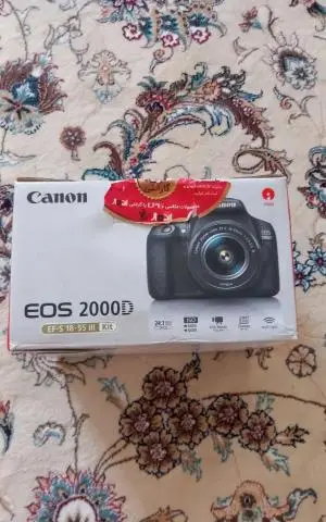 stock