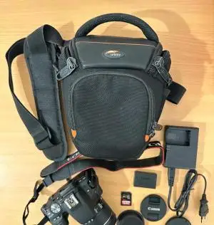 stock