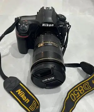 stock