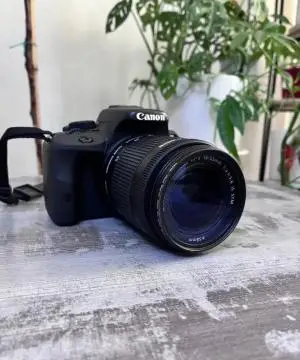 stock