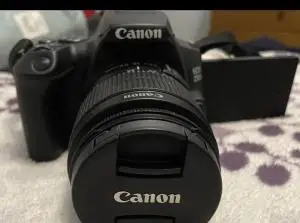 stock