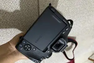 stock