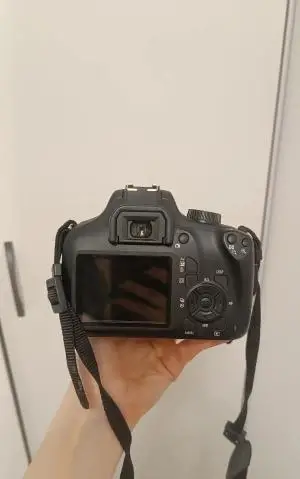 stock
