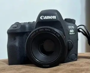 stock