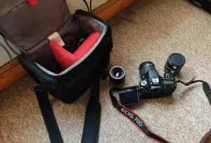 stock