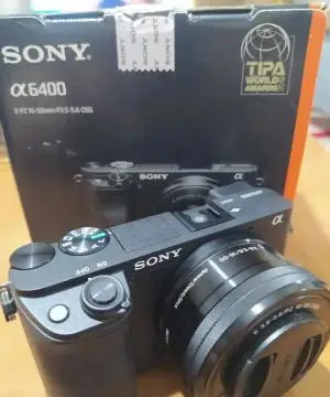 stock