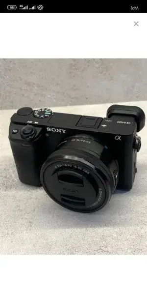 stock