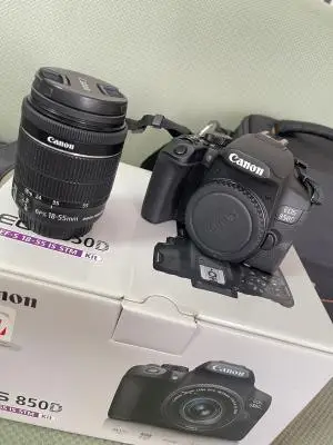 stock