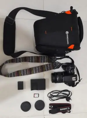 stock