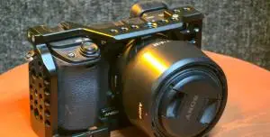 stock