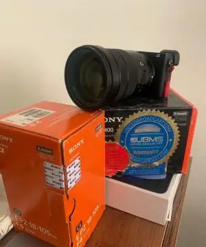 stock