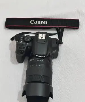 stock