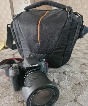 stock