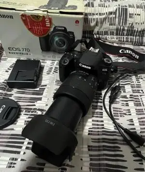 stock