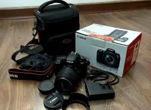 stock