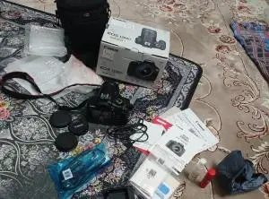 stock